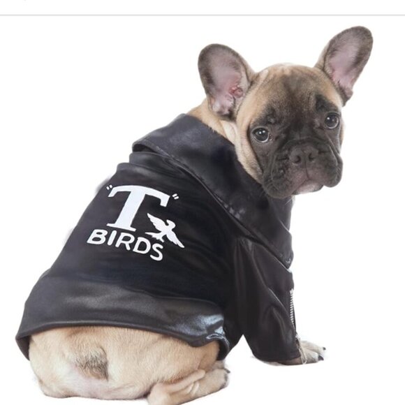 Rubies - Grease Faux Leather T-Birds Dog Jacket - XL NWOT - Picture 1 of 5